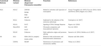 Histones and their chaperones: Adaptive remodelers of an ever-changing chromatinic landscape